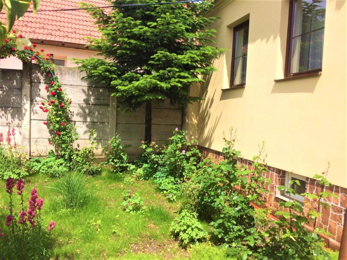 Warm Studio Sibiu Eksteriør bilde